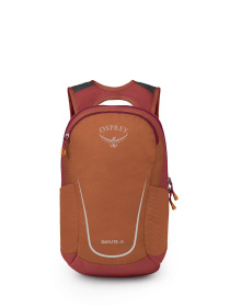 Рюкзак Osprey Daylite Jr модель 100072951 Фото
