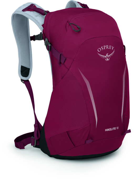 Рюкзак Osprey Hikelite 18 модель 100020838 Фото