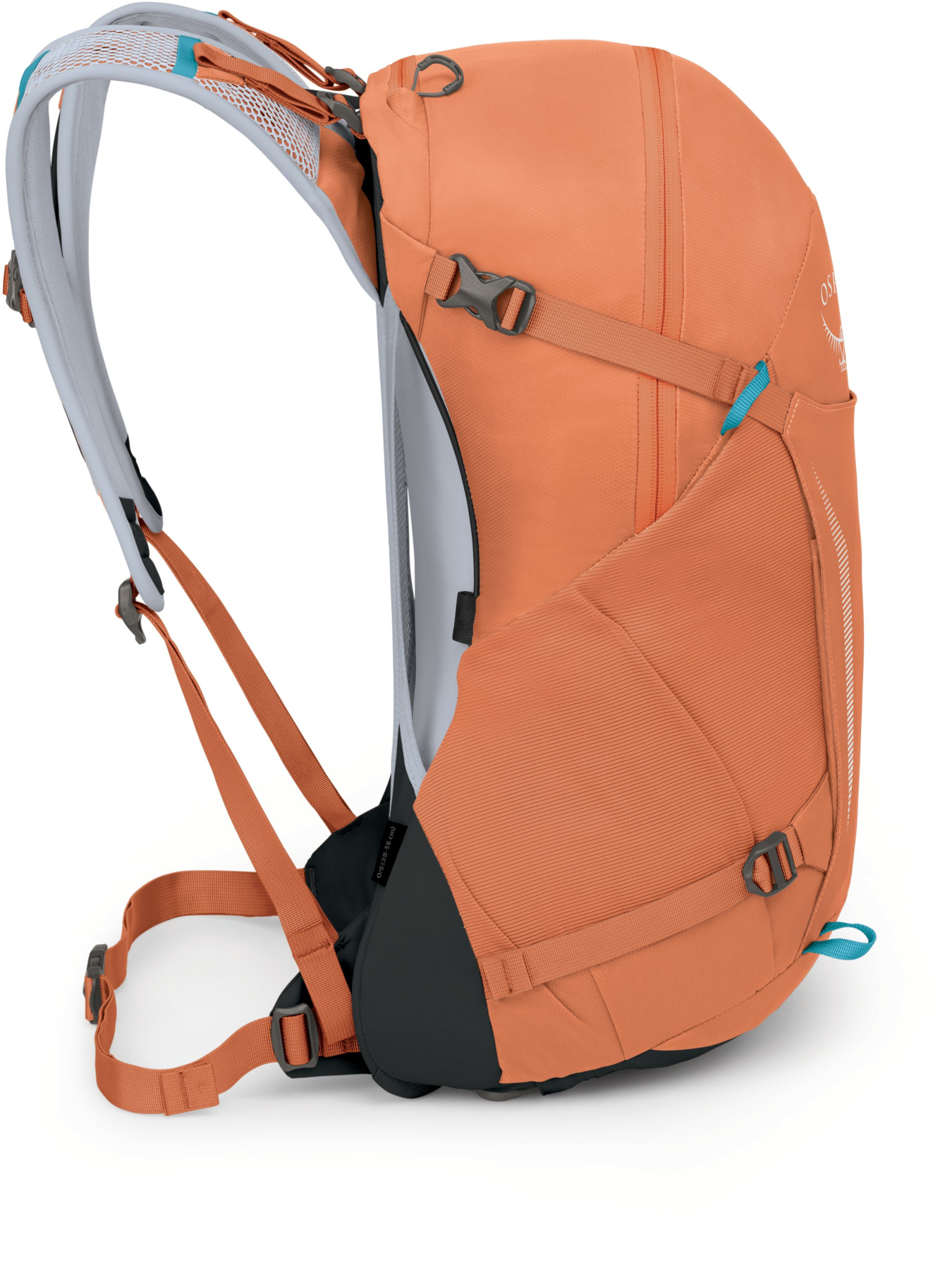 Повсякденний рюкзак Osprey Hikelite 26 модель 100074012 Фото