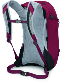 Рюкзак Osprey Hikelite 26 модель 100020941 Фото