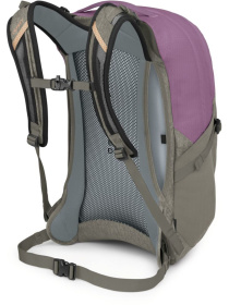 Рюкзак Osprey Parsec модель 100020300 Фото