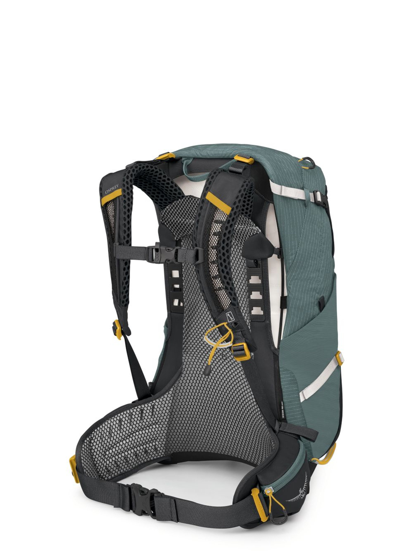 Рюкзак Osprey Sirrus 24 модель 100074038 Фото