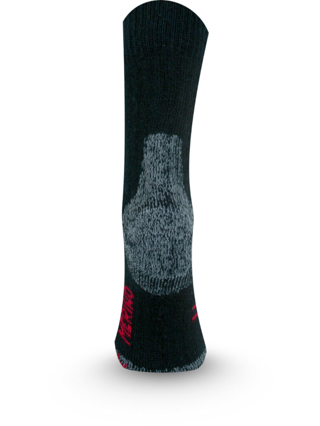 Носки LASTING Txc модель 100068446 Фото