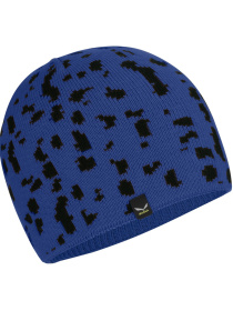 Шапка Salewa Sella AM Salamander модель 100052161 Фото