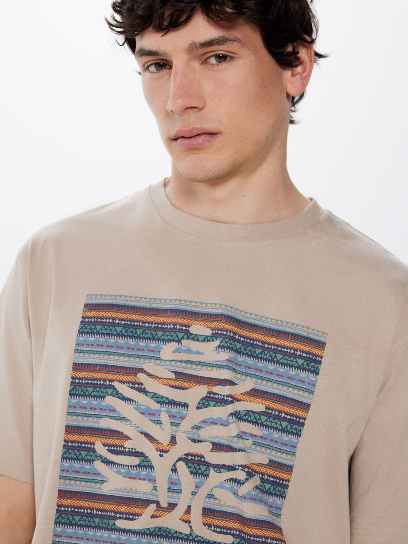 Футболка SPRINGFIELD модель 248421-38 Фото