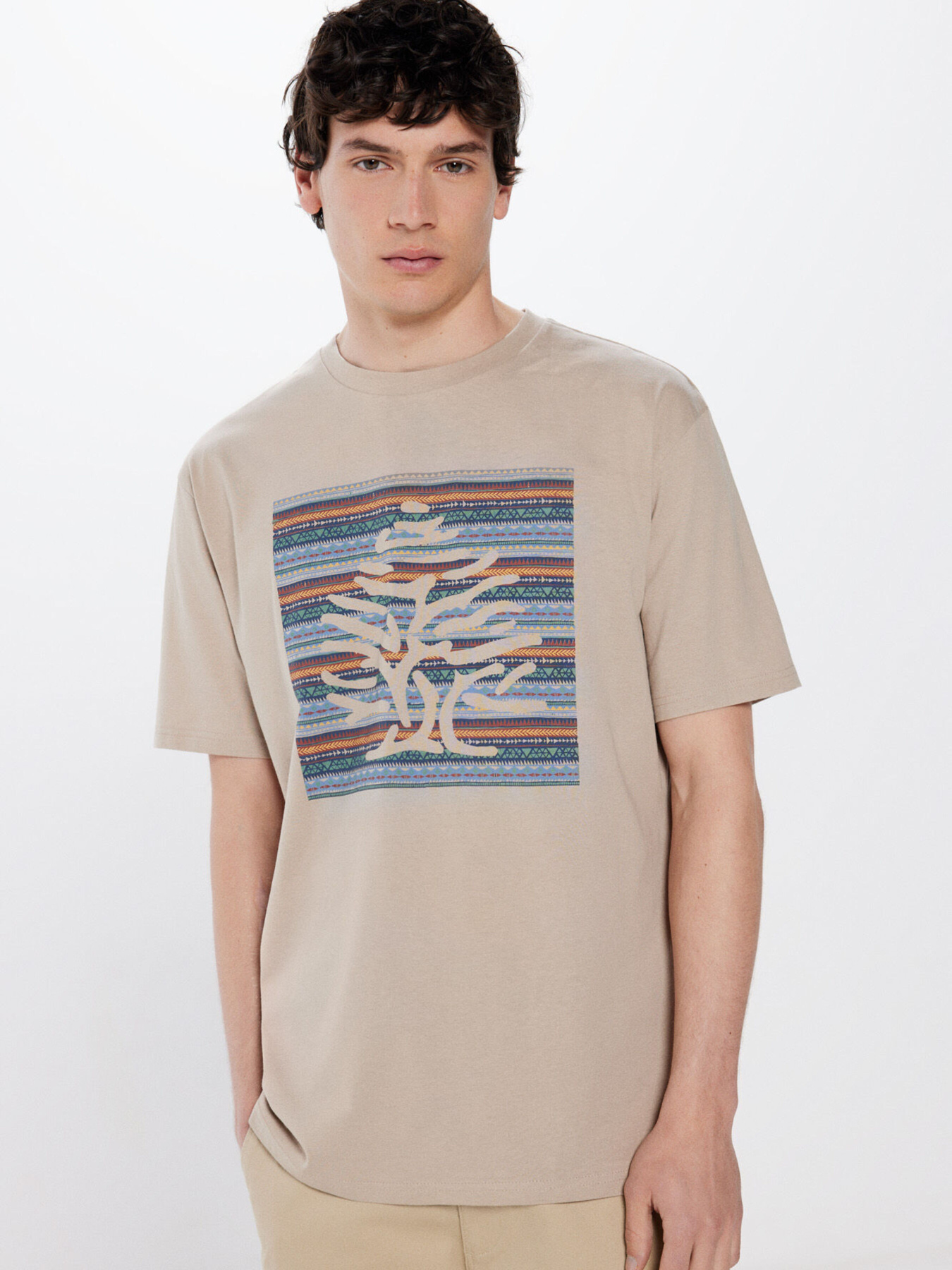 Футболка SPRINGFIELD модель 248421-38 Фото