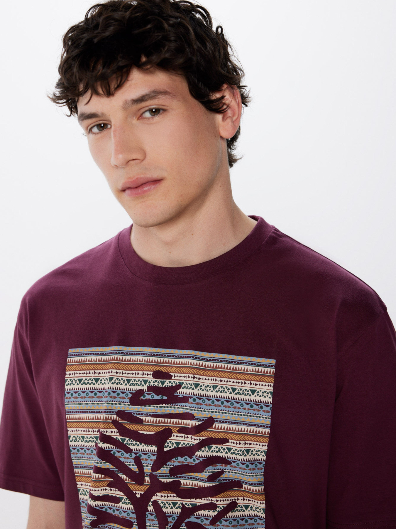 Футболка SPRINGFIELD модель 248421-69 Фото