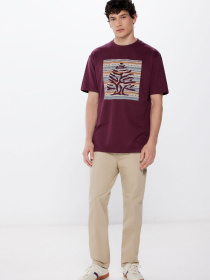 Футболка SPRINGFIELD модель 248421-69 Фото