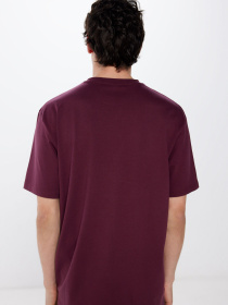 Футболка SPRINGFIELD модель 248421-69 Фото