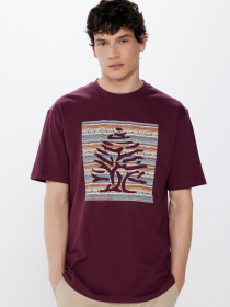 Футболка SPRINGFIELD модель 248421-69 Фото