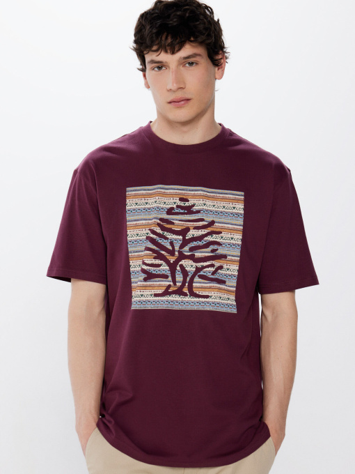 Футболка SPRINGFIELD модель 248421-69 Фото