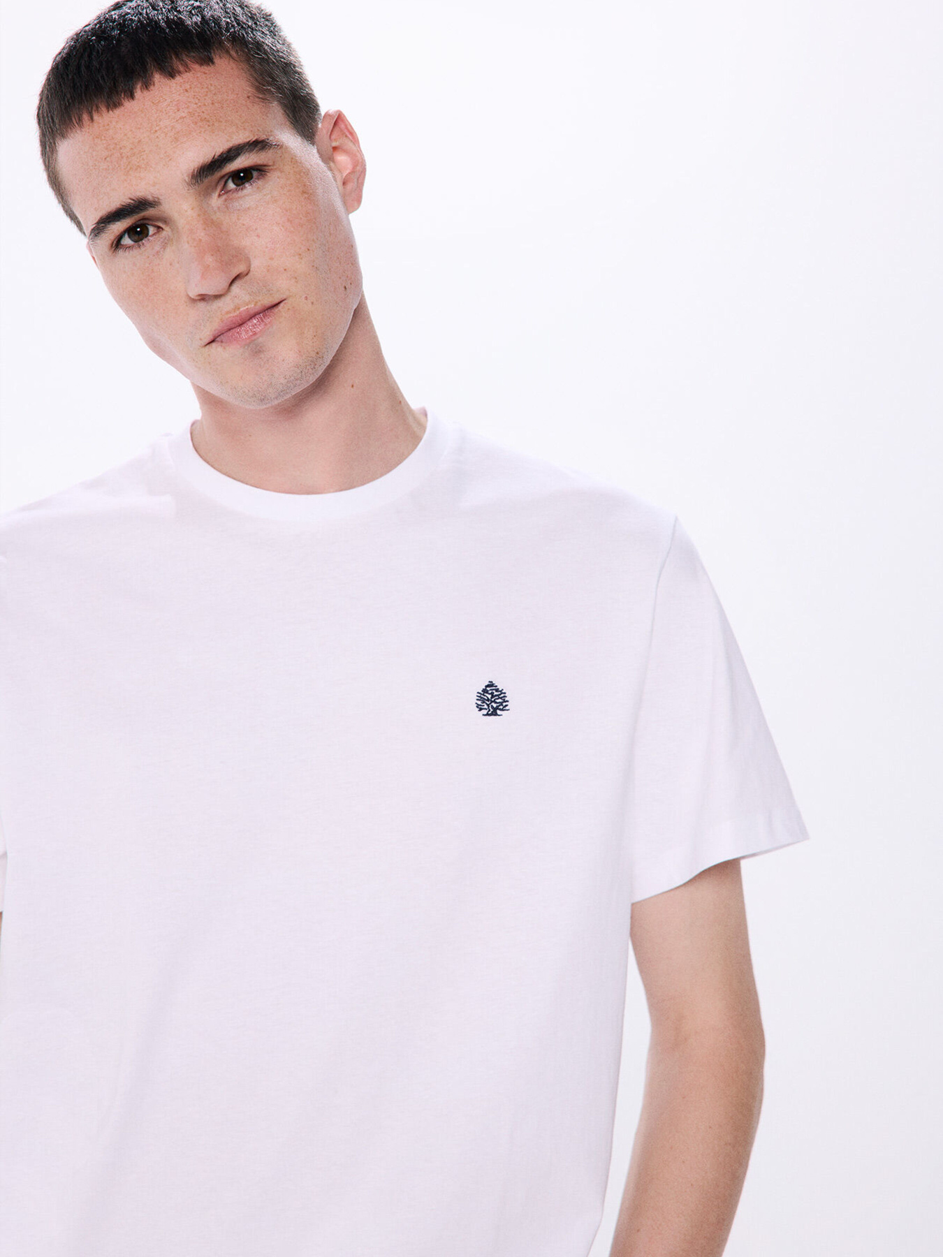 Футболка SPRINGFIELD модель 7122275-99 Фото