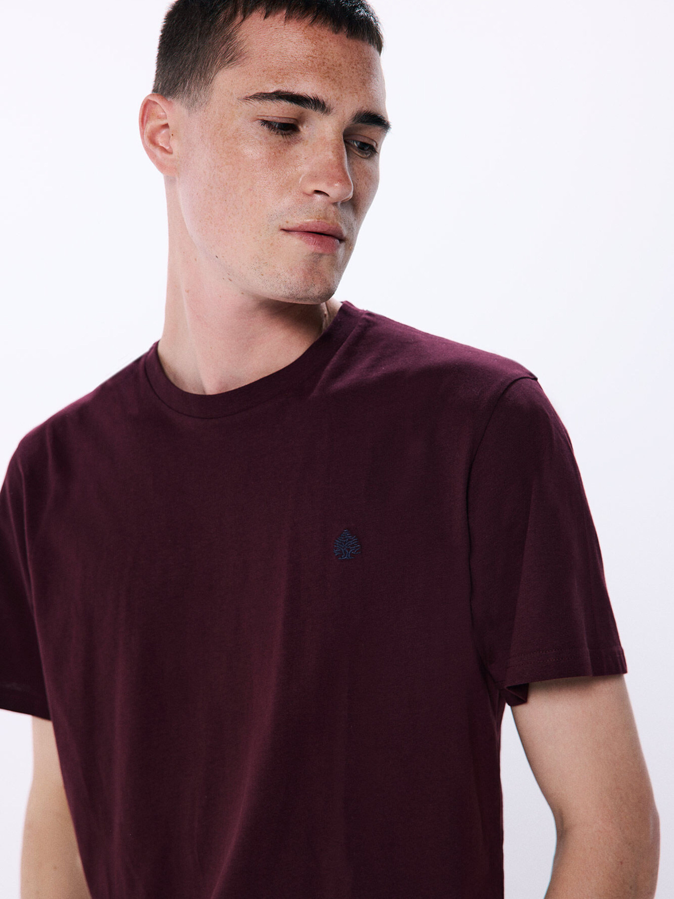 Футболка SPRINGFIELD модель 7122275-61 Фото