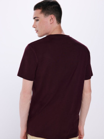 Футболка SPRINGFIELD модель 7122275-61 Фото