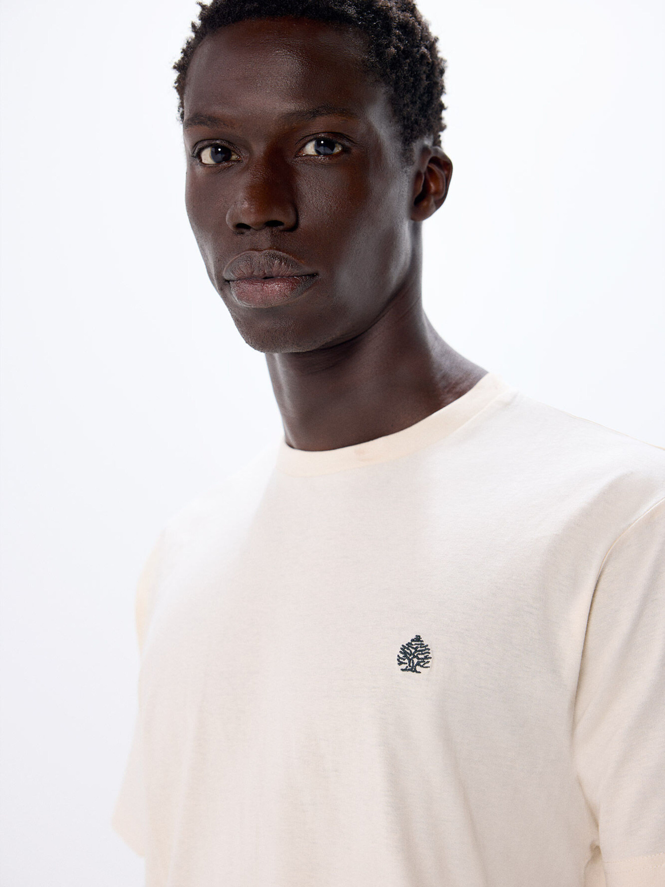 Футболка SPRINGFIELD модель 7122275-97 Фото