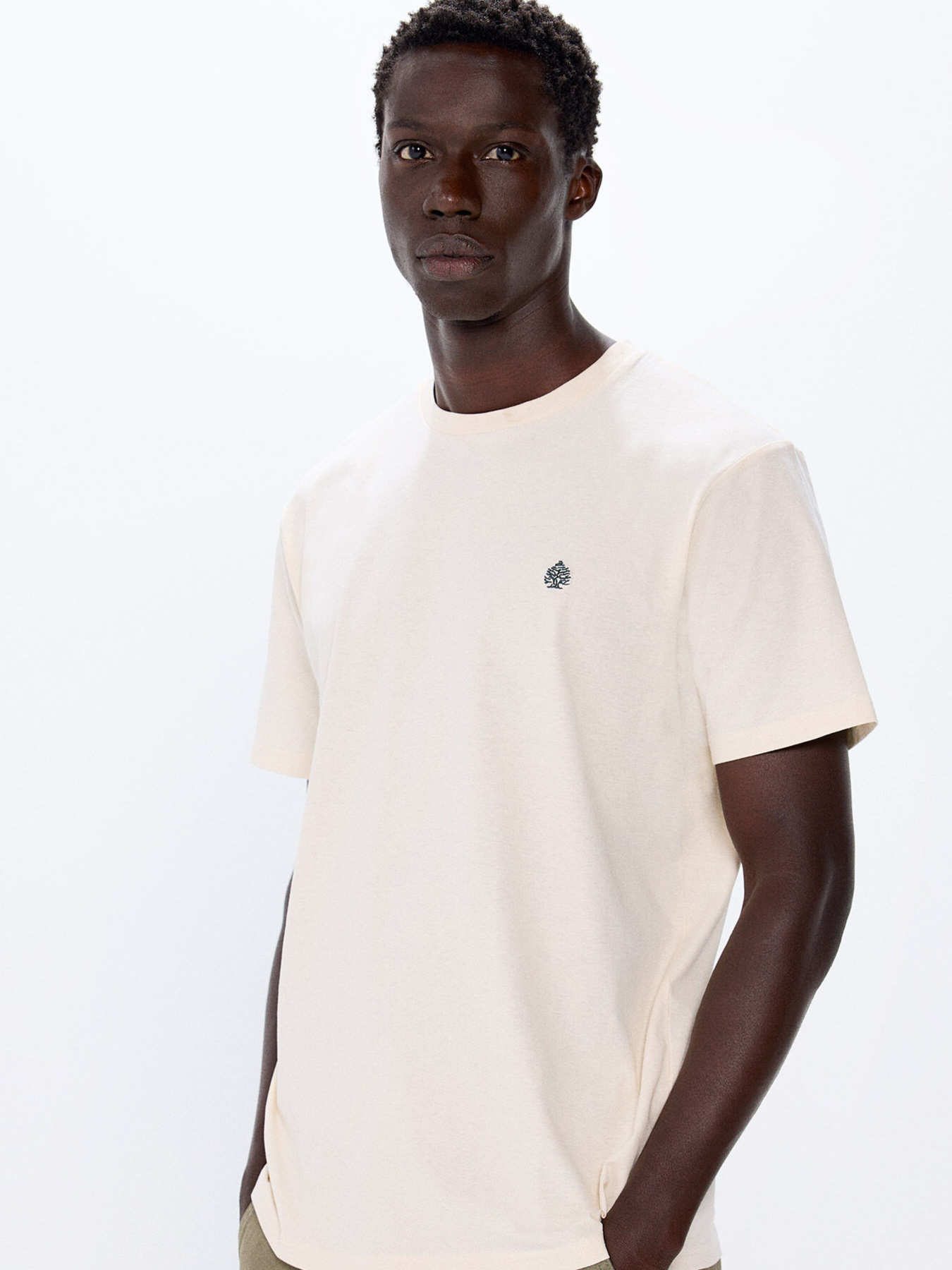 Футболка SPRINGFIELD модель 7122275-97 Фото