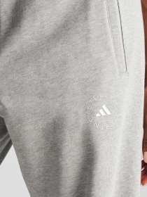 Джоггеры Adidas модель IW6335 Фото