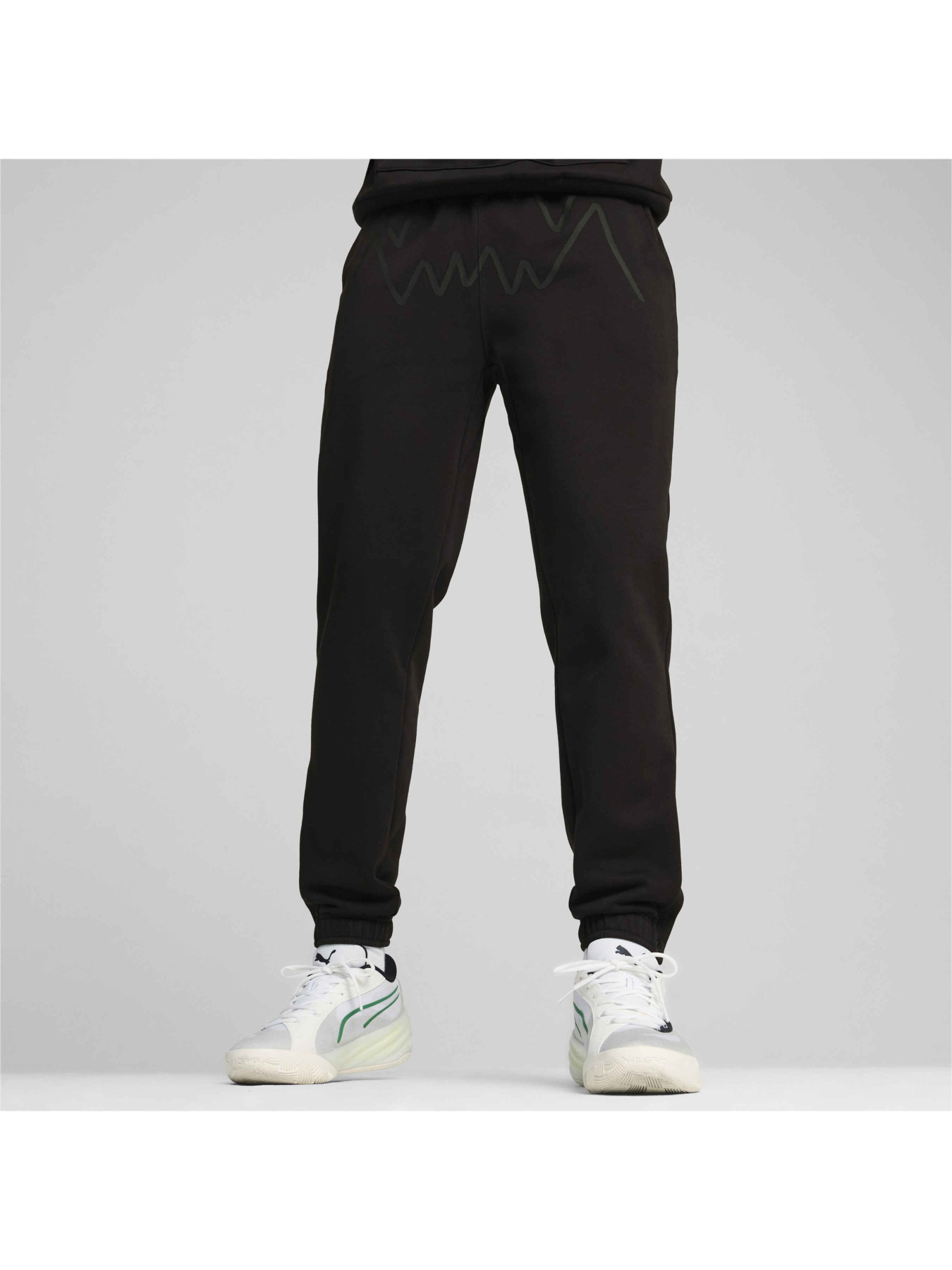 Спортивні штани PUMA Jaws Core Sweat 2.0 модель 627221 Фото