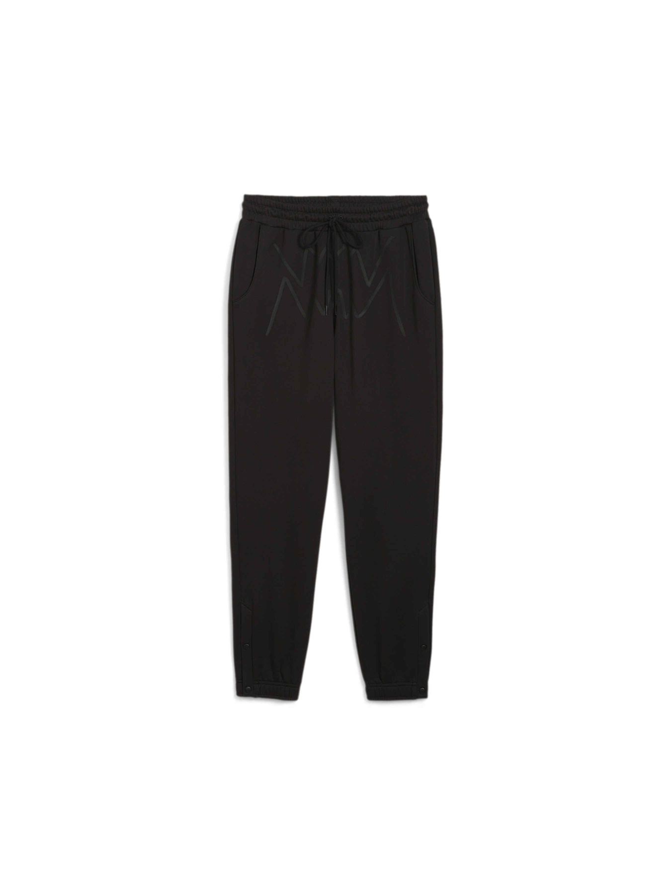 Спортивні штани PUMA Jaws Core Sweat 2.0 модель 627221 Фото