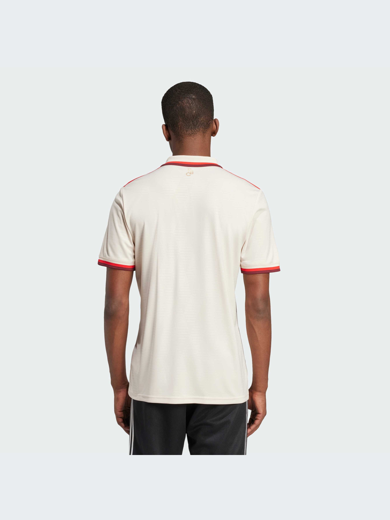 Спортивна футболка Adidas модель IZ3129 Фото