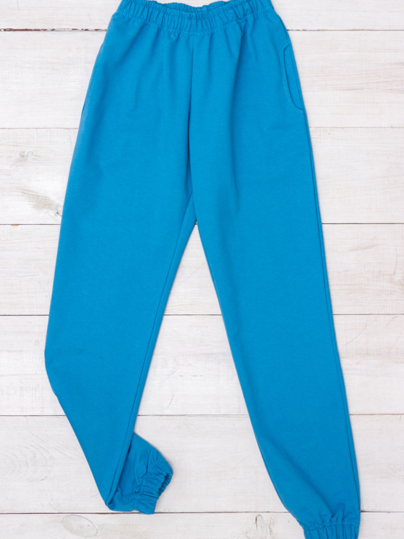 Джоггеры Носи своє модель 8391-057-goluba-blakitx Фото