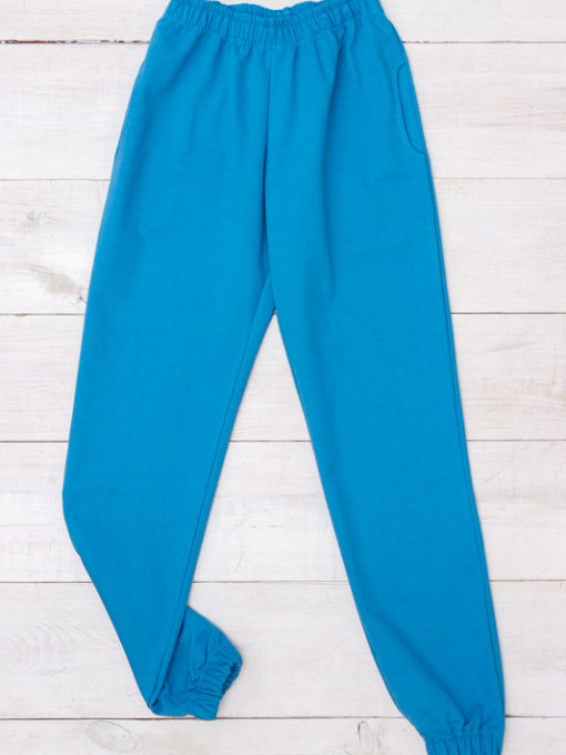 Джоггеры Носи своє модель 8391-057-goluba-blakitx Фото