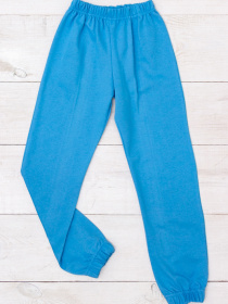 Джоггеры Носи своє модель 6155-023-4-goluba-blakitx Фото