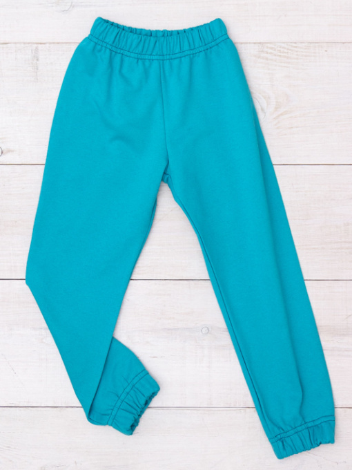 Джоггеры Носи своє модель 6155-023-4-bryuzovij-nefrit Фото