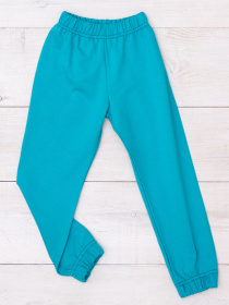 Джоггеры Носи своє модель 6155-023-4-bryuzovij-nefrit Фото