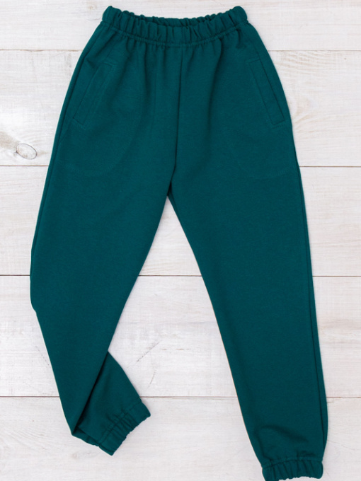 Джоггеры Носи своє модель 6060-057-4-temno-smaragdovij Фото