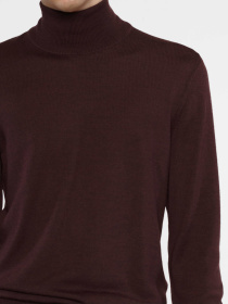 Водолазка Arber модель M10.14.18.431 Фото