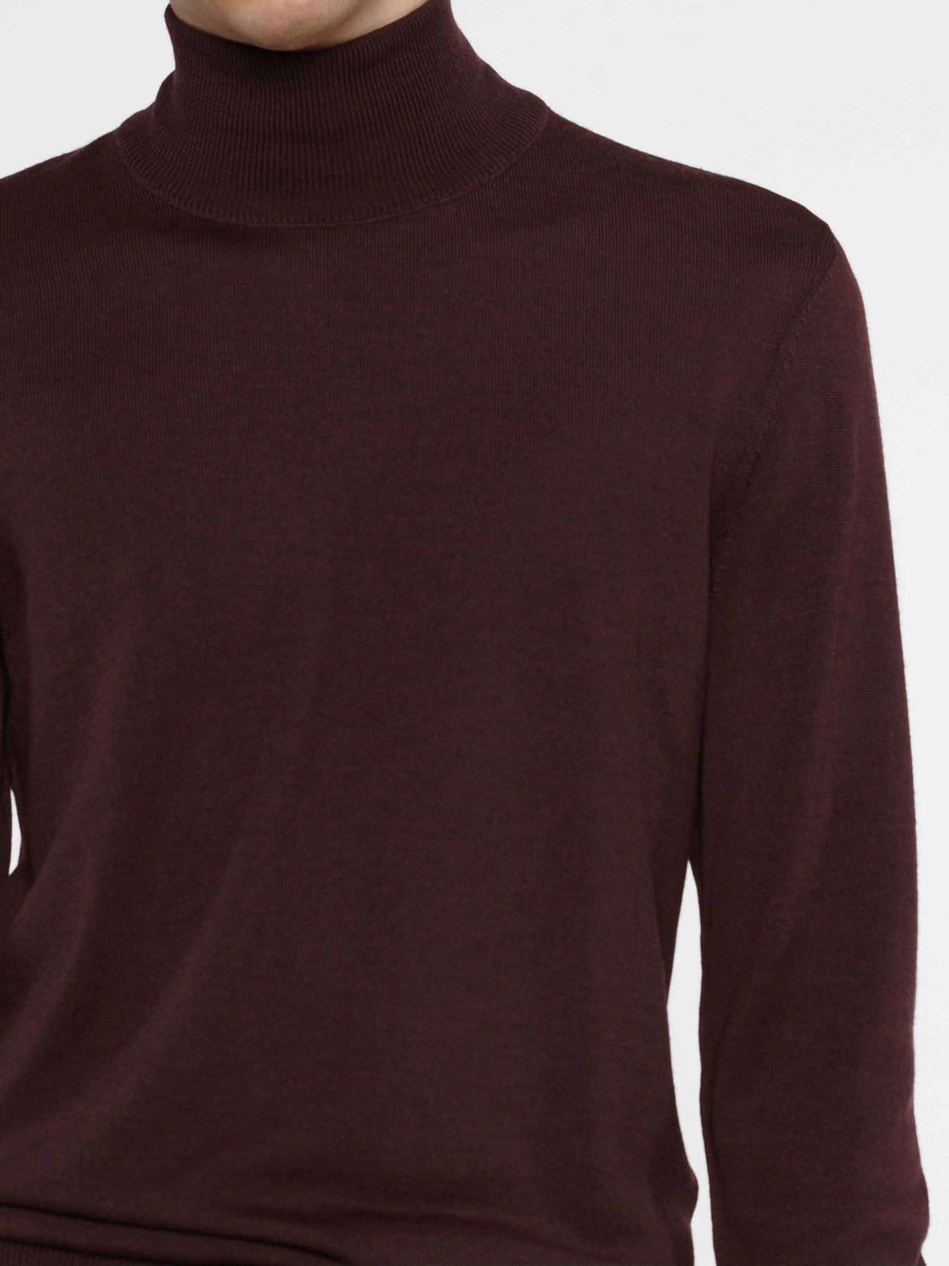 Водолазка Arber модель M10.14.18.431 Фото