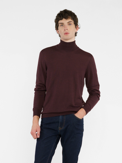 Водолазка Arber модель M10.14.18.431 Фото