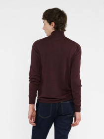 Водолазка Arber модель M10.14.18.431 Фото