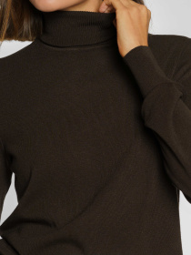 Водолазка Arber модель W10.29.38.434 Водолазка Arber модель W10.29.38.434 Фото