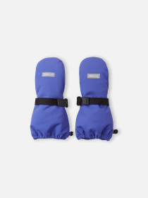 Варежки REIMA Ote модель 5300104A-5660 Фото