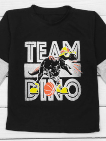 Лонгслив Dexter’s модель DinoTeamBlackGrayTSHRTBDXT Фото