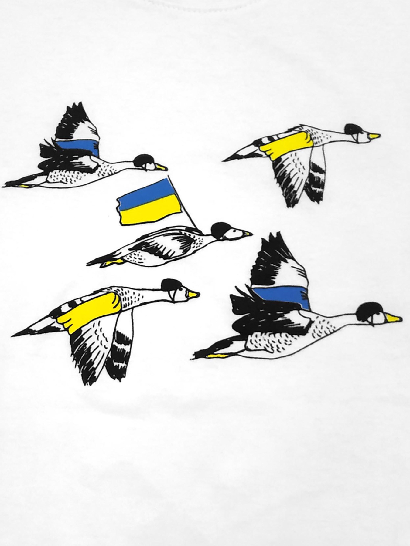 Футболка Dexter’s модель BirdsUkraineWhiteTSHRTBDXT Фото