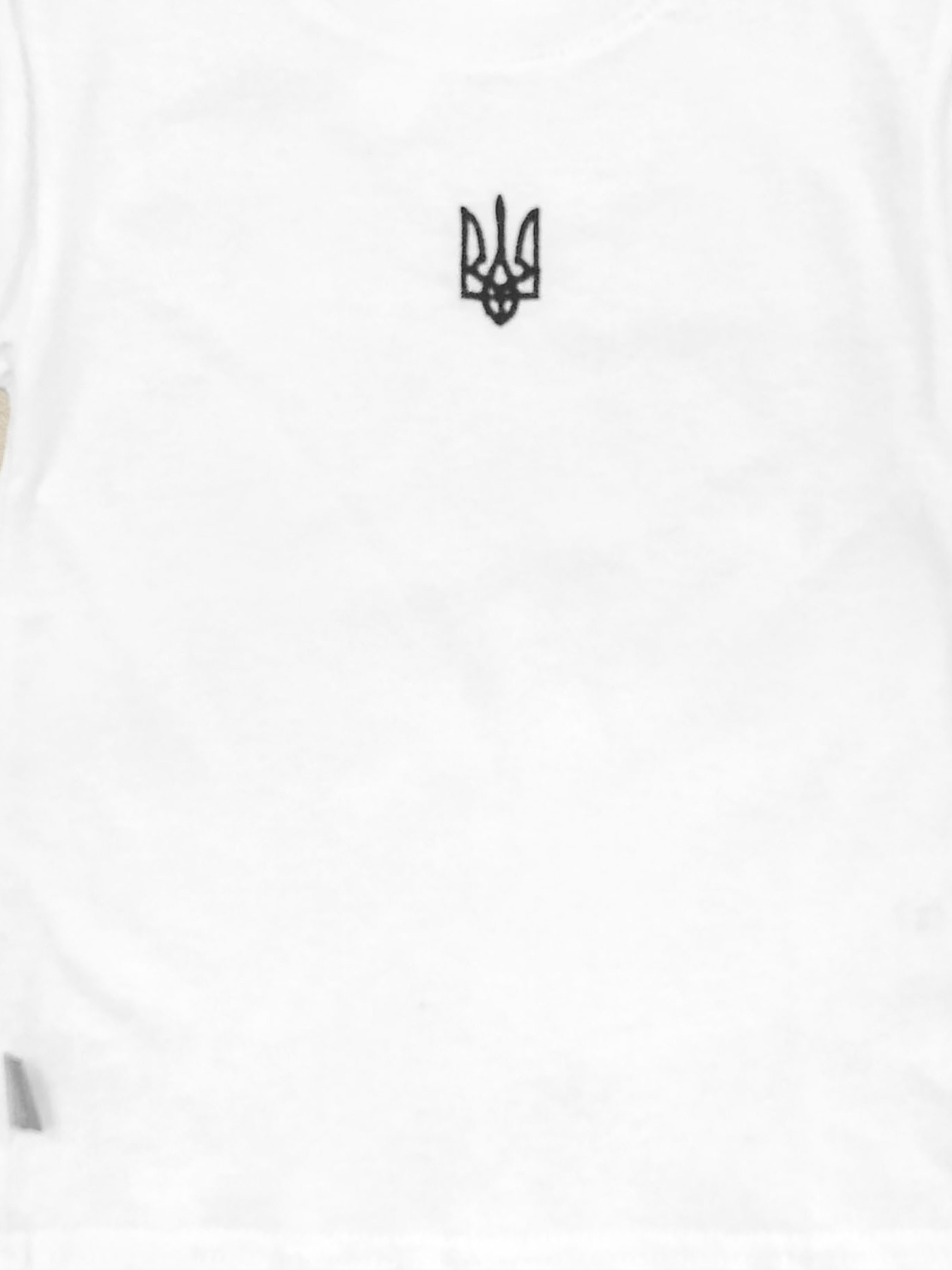 Футболка Dexter’s модель TryzubWhite2TSHRTBDXT Фото