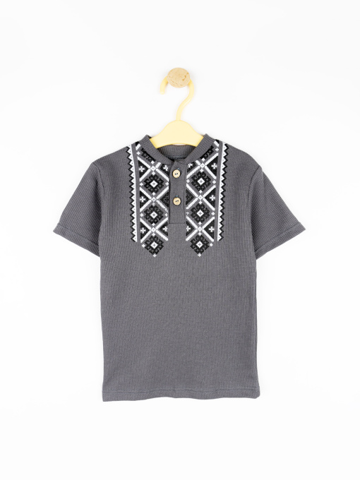 Поло Dexter’s модель GraphiteGrayTSHRTBDXT Фото