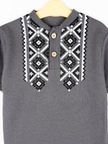 Поло Dexter’s модель GraphiteGrayTSHRTBDXT Фото