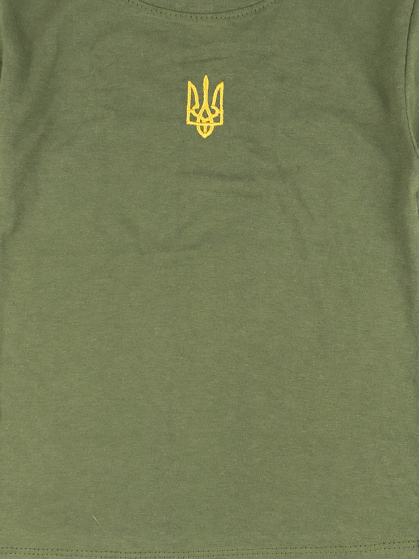 Футболка Dexter’s модель TryzubKhaki2TSHRTBDXT Фото