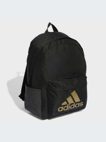 Рюкзак Adidas модель IL5812 Фото