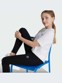 Леггинсы Adidas модель IW3504 Фото