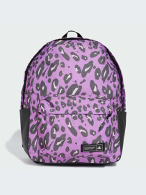 Рюкзак Adidas модель IX6805 Фото