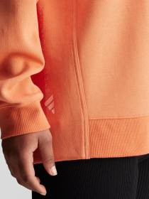 Свитшот Adidas модель IW9853 Фото