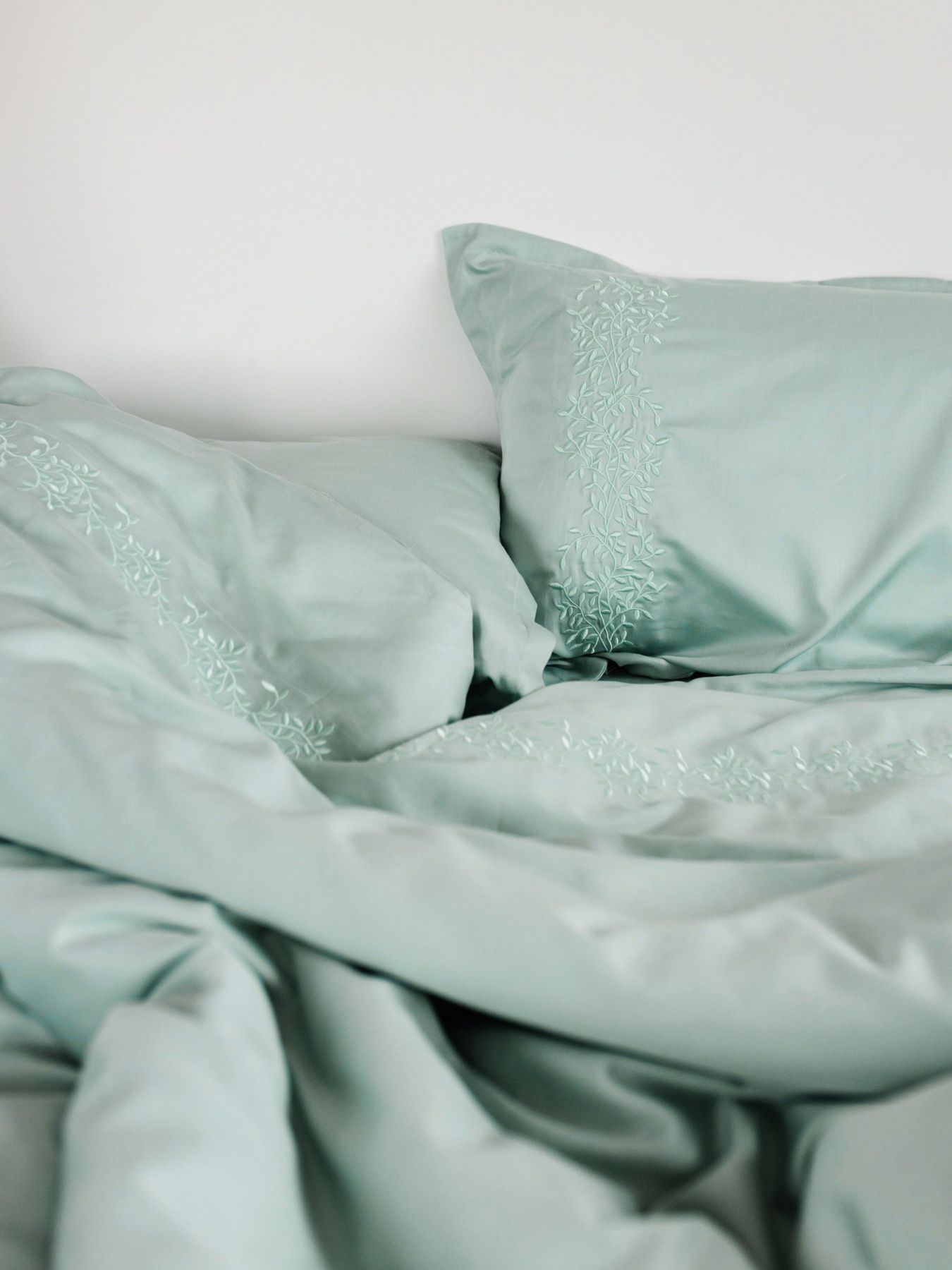 Комплект постільної білизни м'ятний з вишитими гілками Cozy модель 8048823 Фото