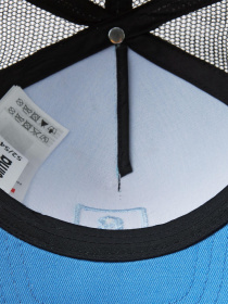 Кепка REIMA LIPPAVA модель 5300148A-6391 Фото