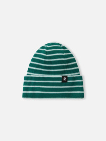 Шапка REIMA Reissuun модель 5300073B-8941 Фото