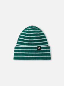 Шапка REIMA Reissuun модель 5300073B-8941 Фото